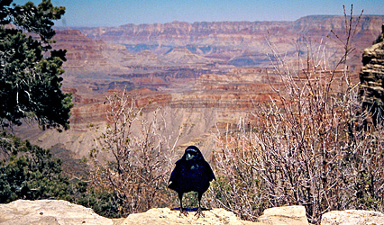 Grand Canyon 