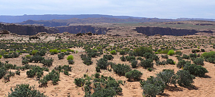 Weg zum Horseshoe Bend