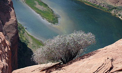 Horseshoe Bend