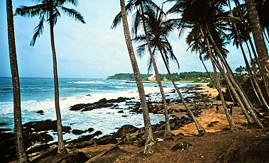 Sri Lanka Strand