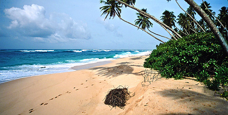 Sri Lanka Strand