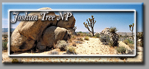 Joshua Tree NP