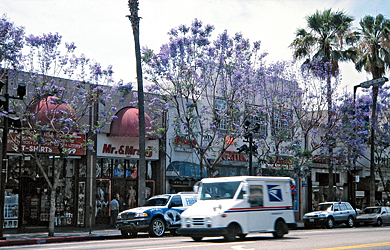 Los Angeles Hollywood Blvd
