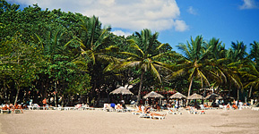 Playa Dorada 