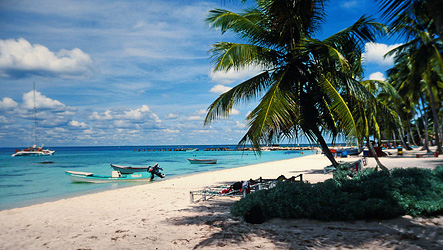 Isla Saona