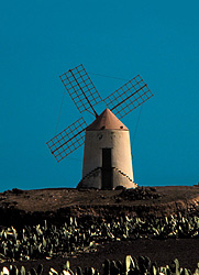 Windmühle auf Lanzarote