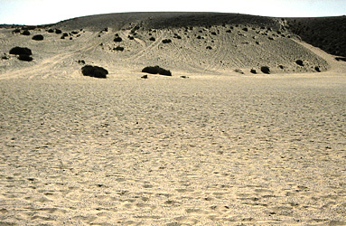 Playa Papagayo´s Lanzarote