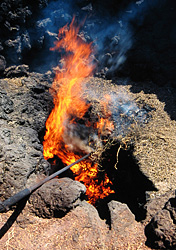 Lanzarote