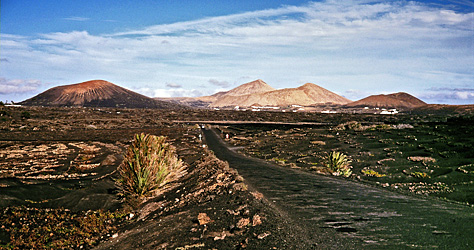 La Geria - Lanzarote