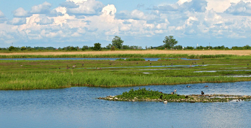 Naturschutzgebiet