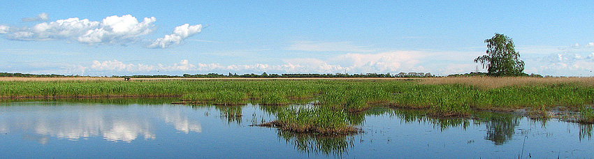 Vogelschutzpark auf Fehmarn