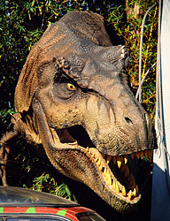 Universalstudios