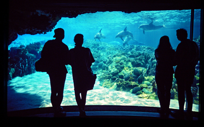 Seaworld