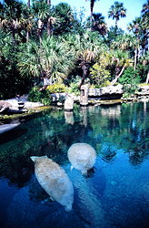 Seaworld
