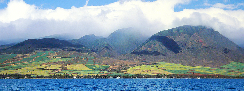 Maui