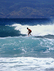 Maui Surfer