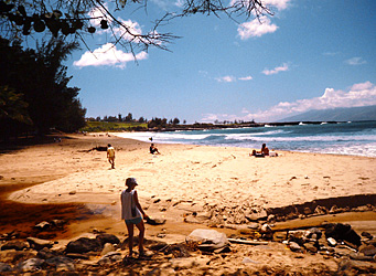 Maui
