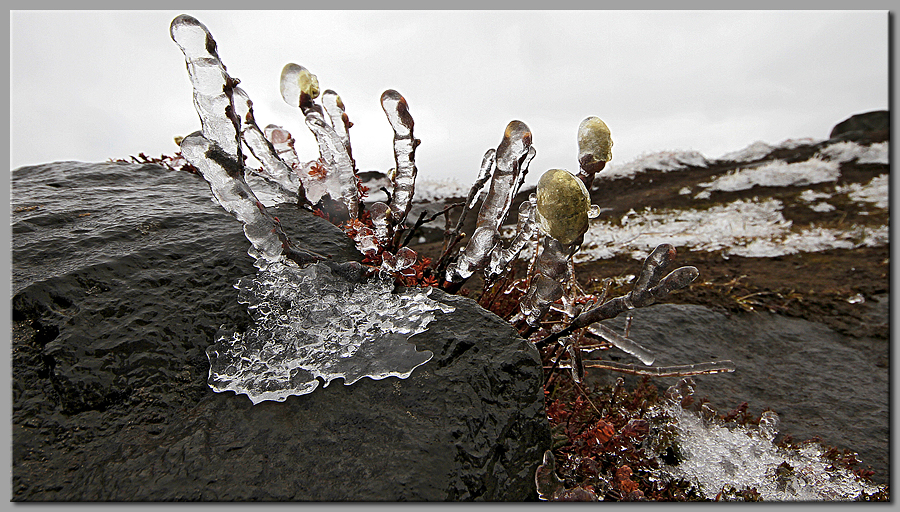 Dettifoss