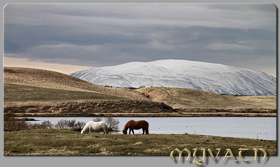 Myvatn