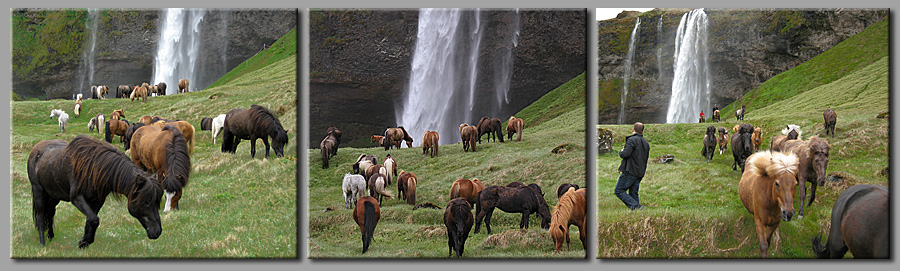 Seljalandfoss