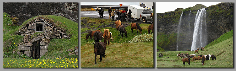 Seljalandfoss