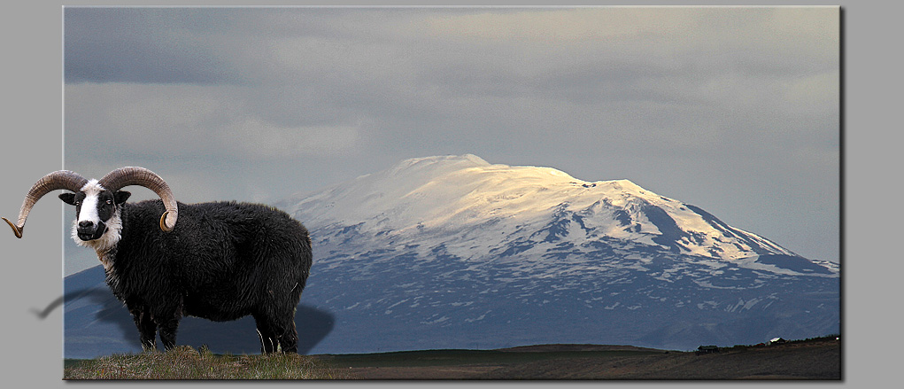 Hekla