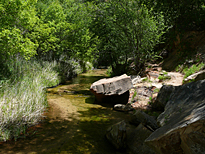 Auf dem Weg zu den Lower Creek Falls