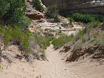 Auf dem Weg zu den Lower Creek Falls