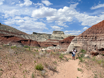 Toadstool Hoodoos