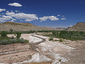 Cottonwood Canyon Road