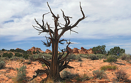 Coyote Buttes South