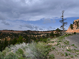 Bryce Canyon