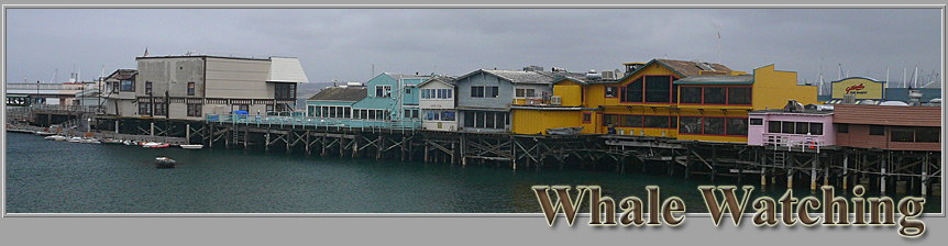 Fishermans Wharf Monterey