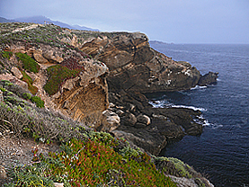 Point Lobos