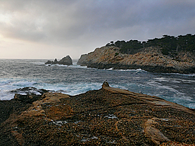 Point Lobos