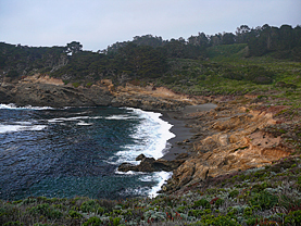 Point Lobos