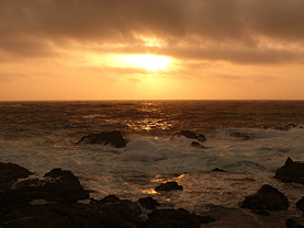 Point Lobos