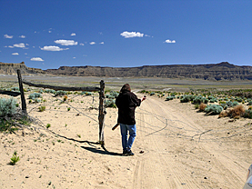 Wahweap Hoodoos