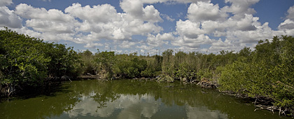 Anhinga Trail