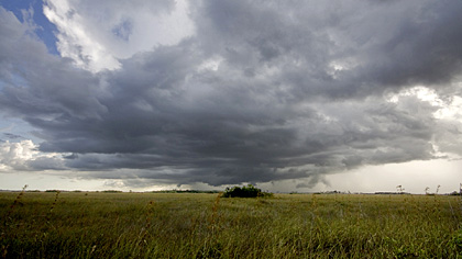 Everglades