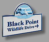 Black Point Wildlife Drive