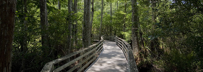 Corkscrew Swamp Sanctuary