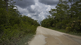 Big Cypress Loop Road