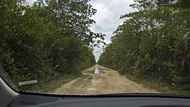 Big Cypress Loop Road