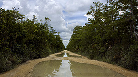 Big Cypress Loop Road