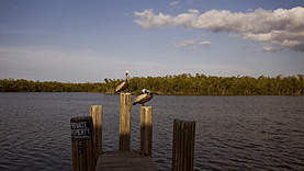 Everglades City