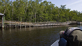 Airboat Ride