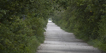 Big Cypress Loop Road