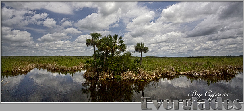 Big Cypress