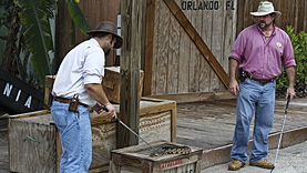 Gatorland